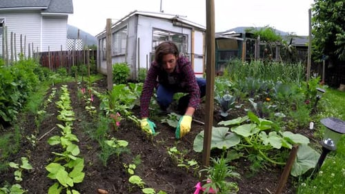 Homme plantant un jardin