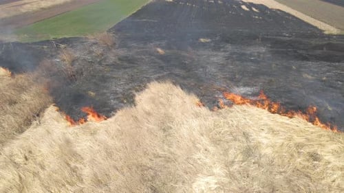 Aerial View of Grassland Field Burning with Red Fire During Dry Season