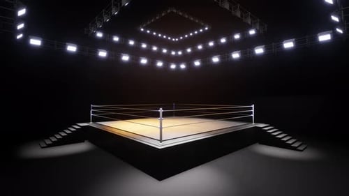 Sports Wrestling And Boxing. Sport 4K Professional Background Animation