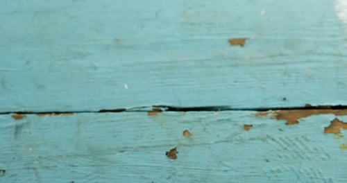 Aromatic Peppercorns on Wooden Spoons