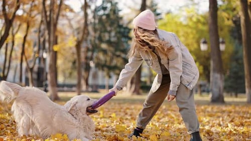 Woman and Dog Play Tug of War in Park