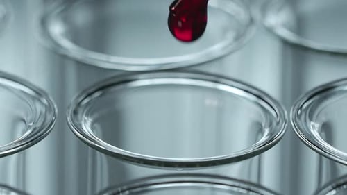 Red Liquid Dropped into Test Tubes in Laboratory