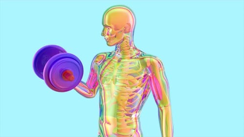 Anatomy of a X-ray man doing Biceps Curls