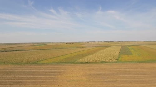Aerial View of Rural Fields of Crops
