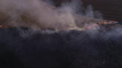Dry Lanes in Fire, Firefighters at Work, Disaster
