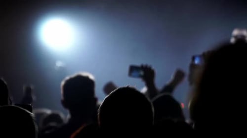 Excited Crowd Enjoys Live Music at Night