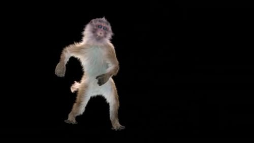 Monkey Dance HD