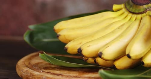Bunch of Bananas on Green Leaves Still Life
