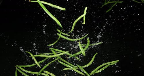 Grüne Bohnen oder französische Bohnen, Phaseolus vulgaris, Gemüse fällt auf Wasser, Zeitlupe 4K