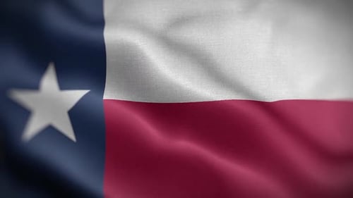 Realistic Waving Texas State Flag Seamless Loop