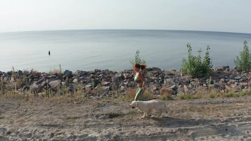 Drone View of Sporty Woman Jogger and Dog on Shore