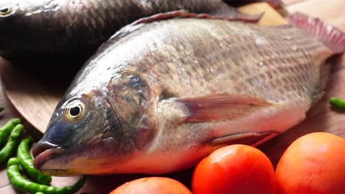 Raw Fresh Fish on a Chopping Board for Preparing for Cooking on Table