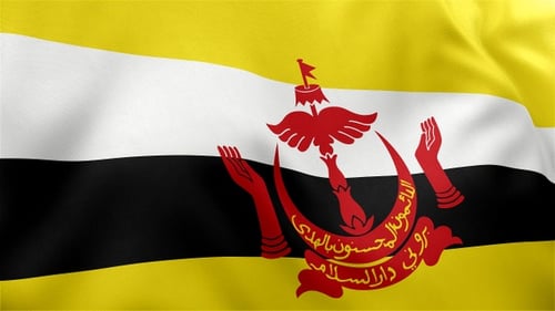 Brunei Darussalam Flag Waving Loop Animation