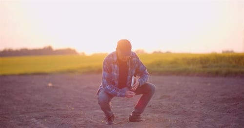 Agriculture - Farmer Examining Young Corn Growing at Agricultural Field