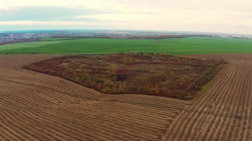 Flying Over an Green Empty Field