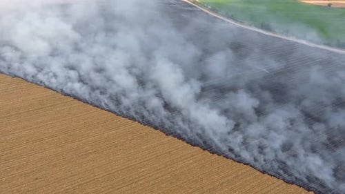 Burning Stubble