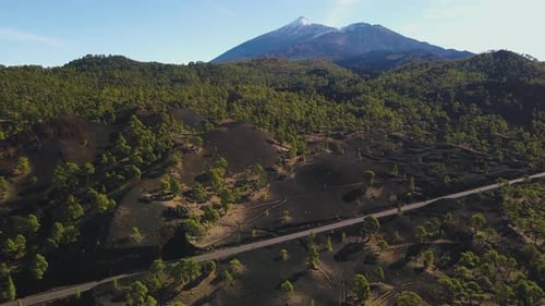 Incredible Aerial Views of Lava Forests in Teide Volcano National Park