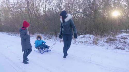 Teen Daughter and Mother Pulling Little Son on Sledge, Running. Silhouette Family Playing in Winter