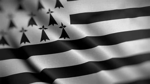 Realistic Waving Brittany Flag Gwenn ha Du Loop