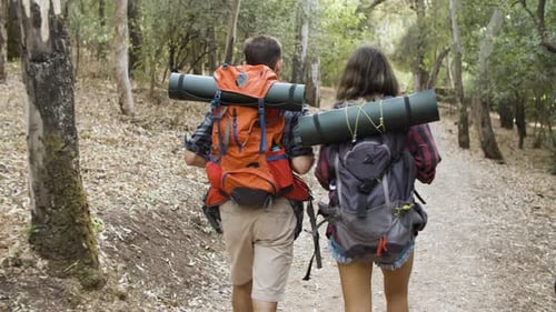Two Active Travelers with Backpacks Walking in Forest