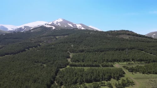 Lush Green Forest and Snow-Capped Mountains Aerial View