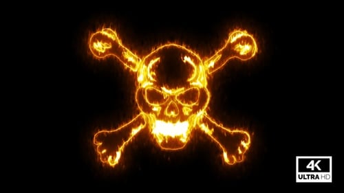 Fiery Skull and Crossbones Line Art Reveal