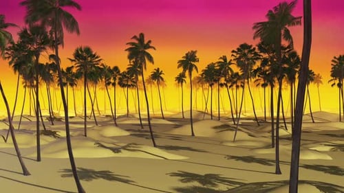 Summer Palm Sunset 01 Hd