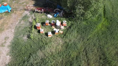 beekeeper