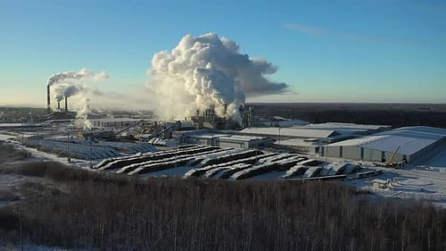 Une usine de transformation du bois avec des pipes à fumer