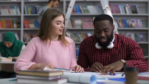 Multiracial Students Studying Together in Library