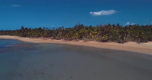 Caribbean Island 2
