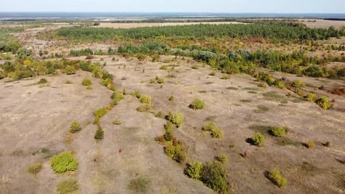 Plain Fields Trees From a Bird's Eye View