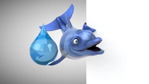 Fun dolphin