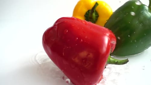 Colorful Bell Peppers Get Splashed with Water
