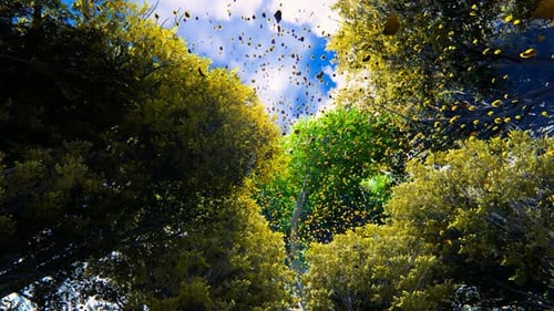 Fall Of Leaves 2k