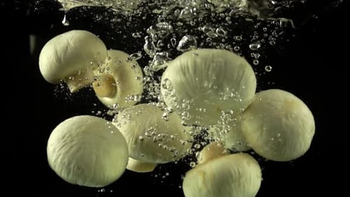Falling Mushrooms Champignon