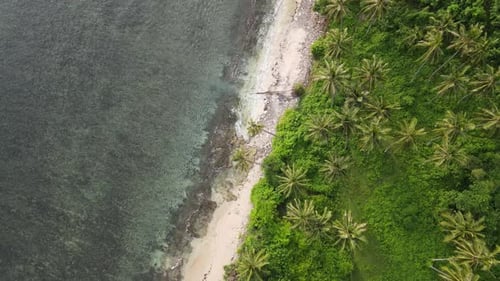 Aerial Beach