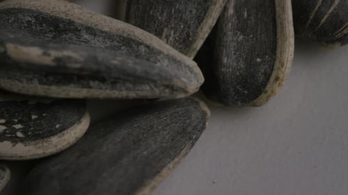 Macro Shot of Black Sunflower Seeds on White