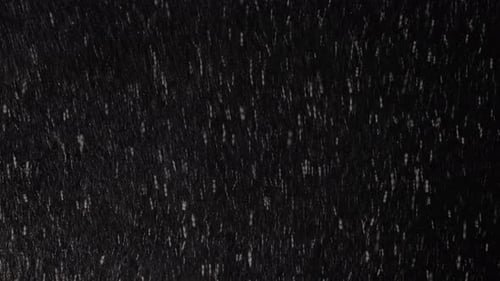 Snowstorm at Black Night