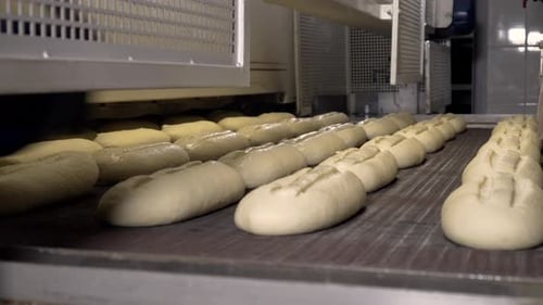 Making a Loaf of Bread in the Bakery. Loaf of Bread on the Production Line in the Baking Industry