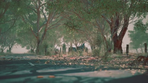 Open Road in Australia with Bush Trees