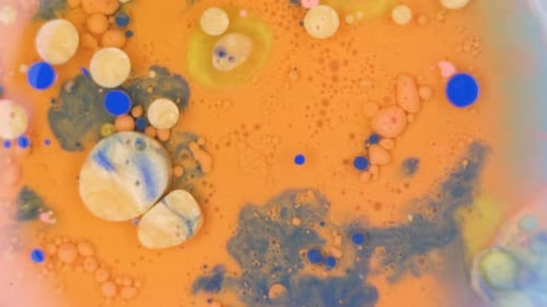 Abstract Color Cells Swirl in Liquid Close Up