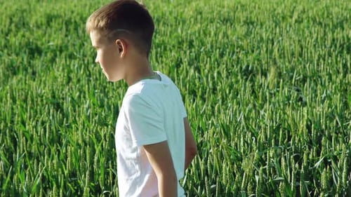 Little Boy is Walking in the Field