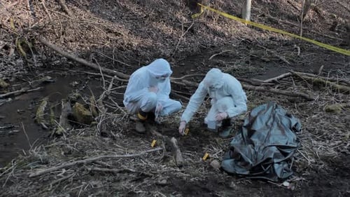 Forensic specialists working in the forest. Crime scene and police concept.