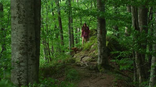 Woman and dog walking in a forest