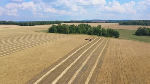 Luftaufnahme des Mähdreschers