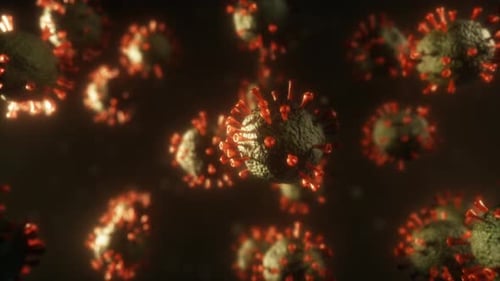 Realistic Deadly Virus Model