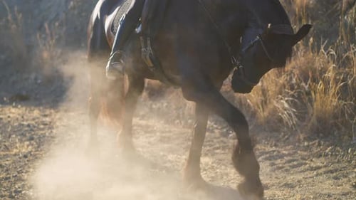 Caballo marrón golpeando pezuñas en cámara lenta con polvo saliendo a la luz del sol