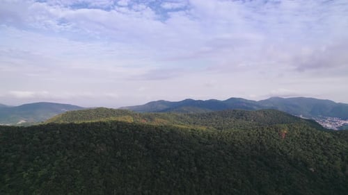 Jungle tropicale dans les montagnes