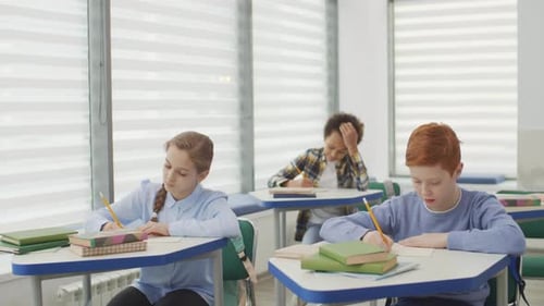 Students Studying and Writing at School Desks